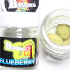 Buy Blueberry Bassrocks Moon Rocks Online