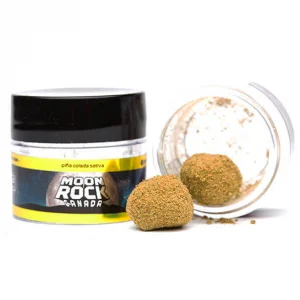 Buy Pina Colada Moon Rocks Canada
